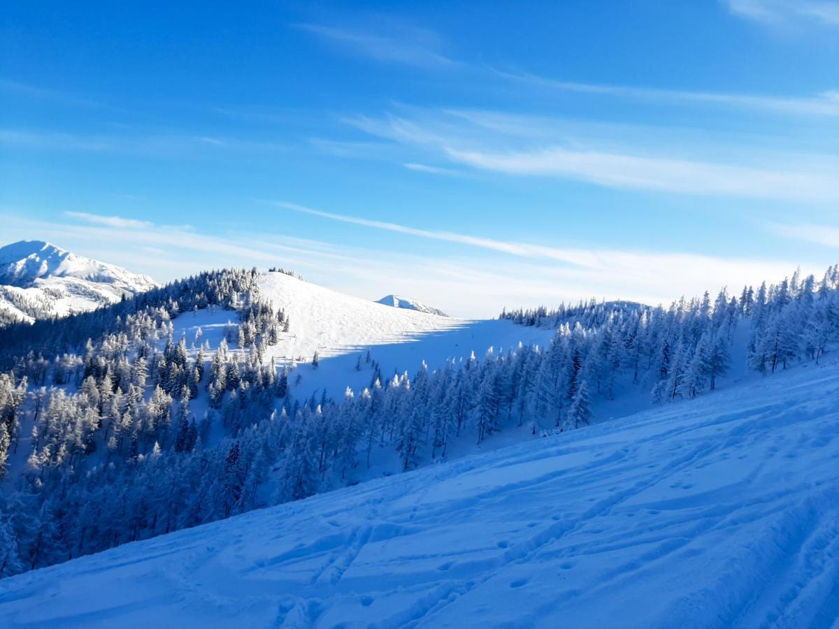 Romantiksuite Bei Seitberger Frauenberg Exteriér fotografie