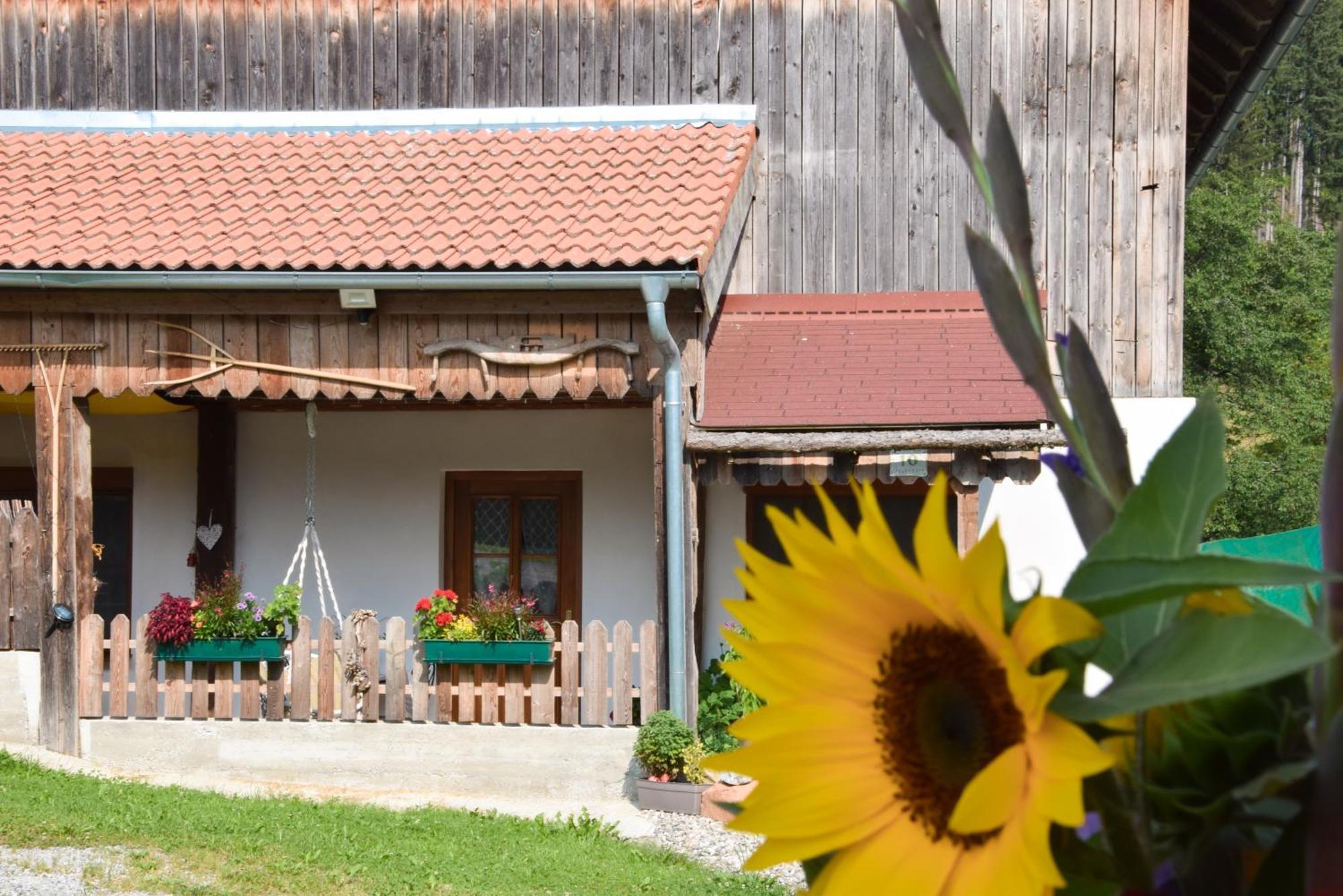 Romantiksuite Bei Seitberger Frauenberg Exteriér fotografie